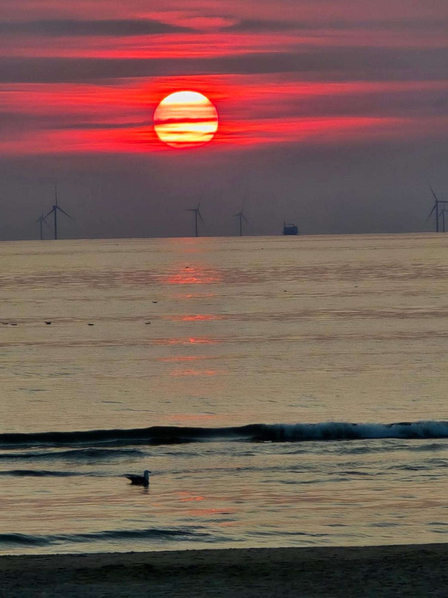 Villa Zeezuid Egmond aan Zee Esterno foto